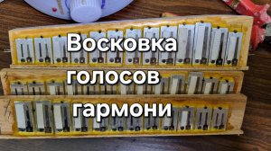 Восковка голосов гармони.