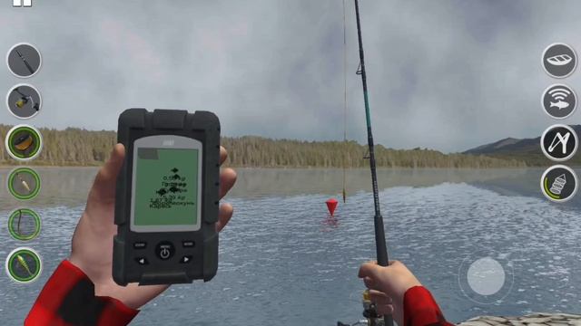 ловем  рыбу в игре