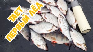 Безмотылка - тает первый лед