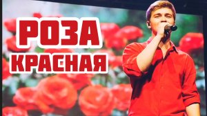 РОЗА . ИИ Музыка.