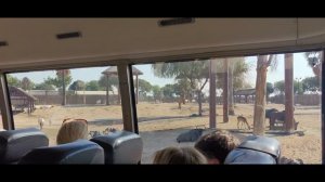 Дубай 9 января 2026 Часть 1. На такси до Дубай Сафари парк, пополнение карты NOL.