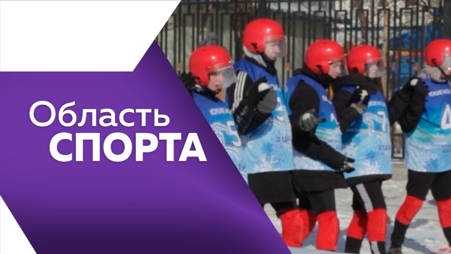 Область спорта №346