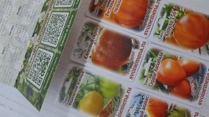 Семена от Медведевых!Я очень рада!Рецепт творожных ватрушек с творогом и запеканка "Белое облачко" !