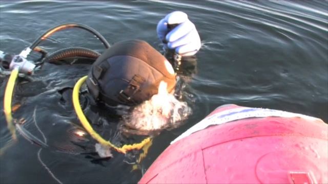 ©  "Поиски Соловецких колоколов. Дайвинг клуб "Капитан Кук"". Летняя экспедиция 2013 г. Кассета 1