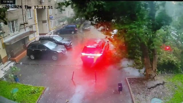 Что делать и куда обращаться если на вашу машину упало дерево