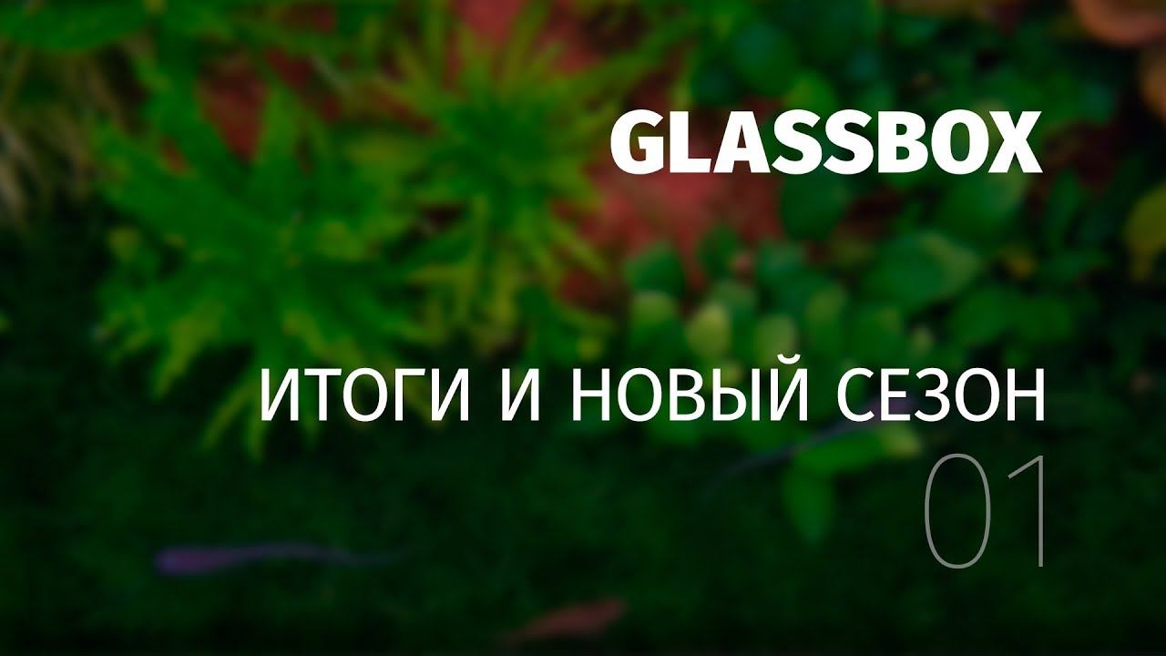 01 - Итоги и новый сезон. смотреть онлайн