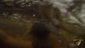 Оха. Купель, родник 2026