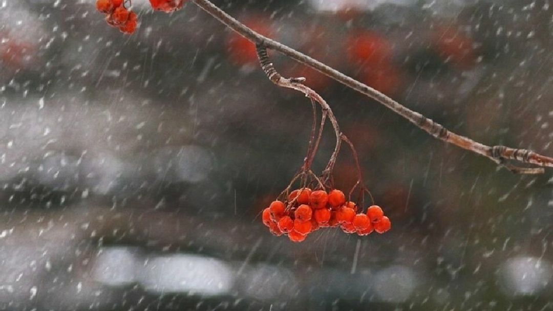 Клип "Ненастная погода" исполнение Сергей Воротилов смотреть онлайн