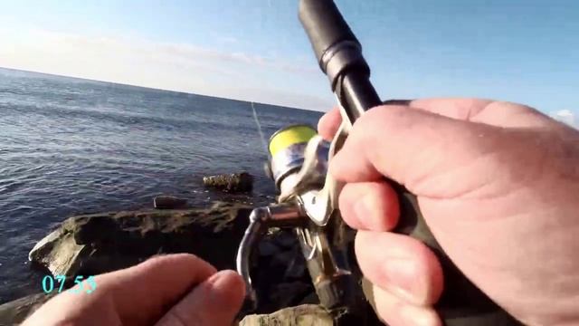 Бомбарда, булер, супер снасть, бешеный клёв ласкиря