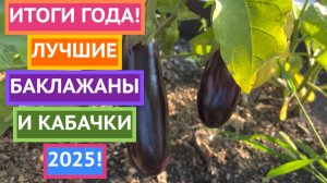 ЭТИ СЕМЕНА КАБАЧКОВ И БАКЛАЖАНОВ ПОКАЗАЛИ ЛУЧШИЙ РЕЗУЛЬТАТ 2025!
