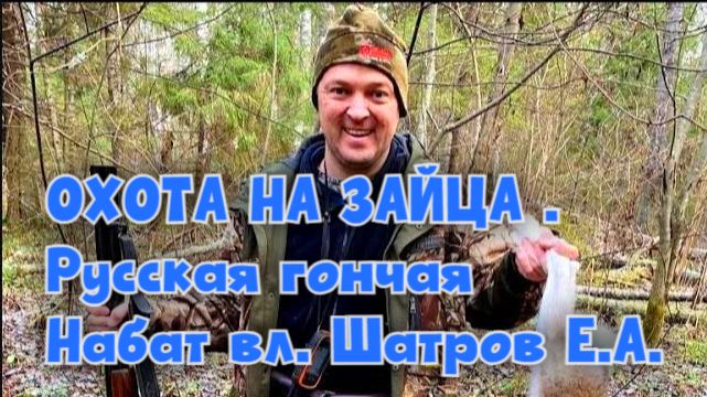 ОХОТА НА ЗАЙЦА .Русская гончая Набат вл. Шатров Е.А. #охотасгончей#собака #животные #топ #hunting смотреть онлайн