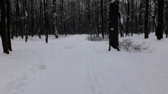 Санкт- Петербург, МФЦ, Новороссийская улица, д 18, рядом с парком Лесотехнической Академии. смотреть онлайн