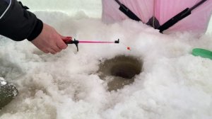 Рыбачить можно хоть с машины. Зимняя рыбалка на Белом море.