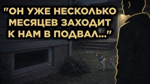 "К Нам Ломится Вор... И Мы Ничего Не Будем С Этим Делать"