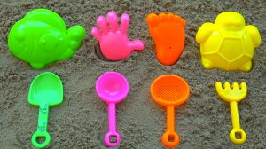 Учим Цвета и Цифры с Морскими Животными | Ладошки и Ножки | Развивающий мультик |Песенки для малышей