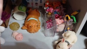 мини влог вечер сквиши Собачки 🎀