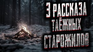 3 рассказа таежных старожилов. Страшные истории на ночь. Мистика. Страшилки на ночь.