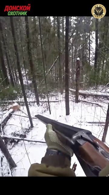 Охота на лис - Осечка - такое тоже бывает смотреть онлайн