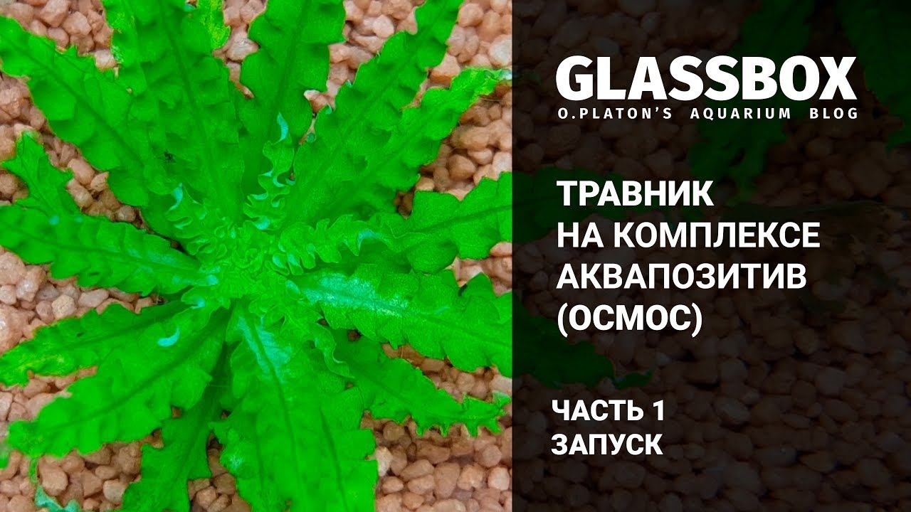 1 - Травник на комплексе "Аквапозитив" (ОСМОС) - запуск смотреть онлайн