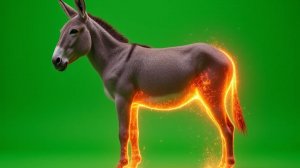 АБВГДЕЁЖЗИЙКЛМНОПРСТУФХЦЧШЩЪЫЬЭЮЯ