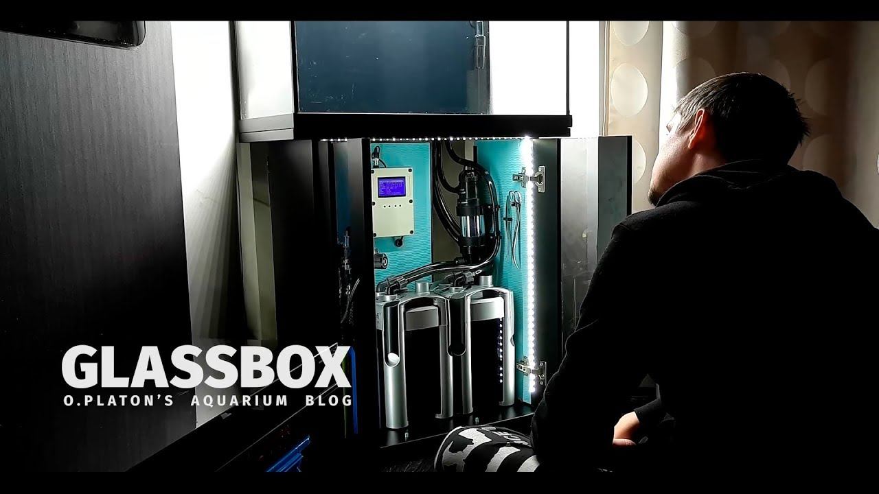 Мое хобби аквариумистика смотреть онлайн