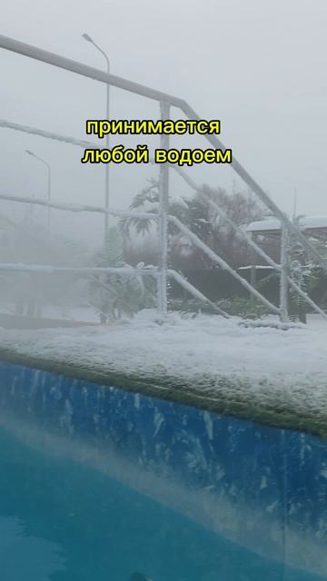 #КрещениеГосподне #прорубь #традиции