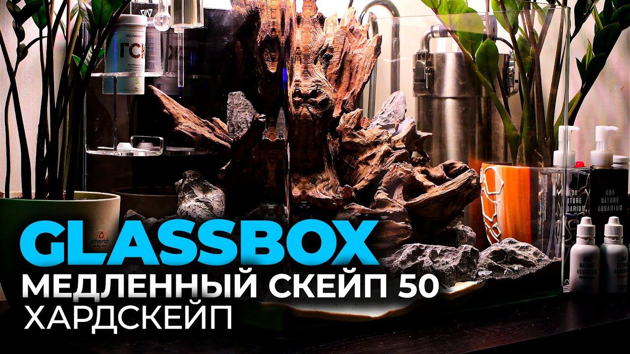 Медленный аквариум скейп 1 - #Хардскейп смотреть онлайн