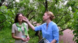 Сирень в Ботаническом саду МГУ часть 2