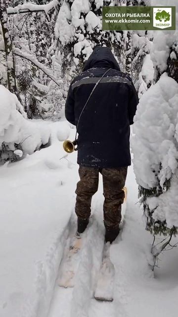 Вот такая красота в нашем лесу! смотреть онлайн