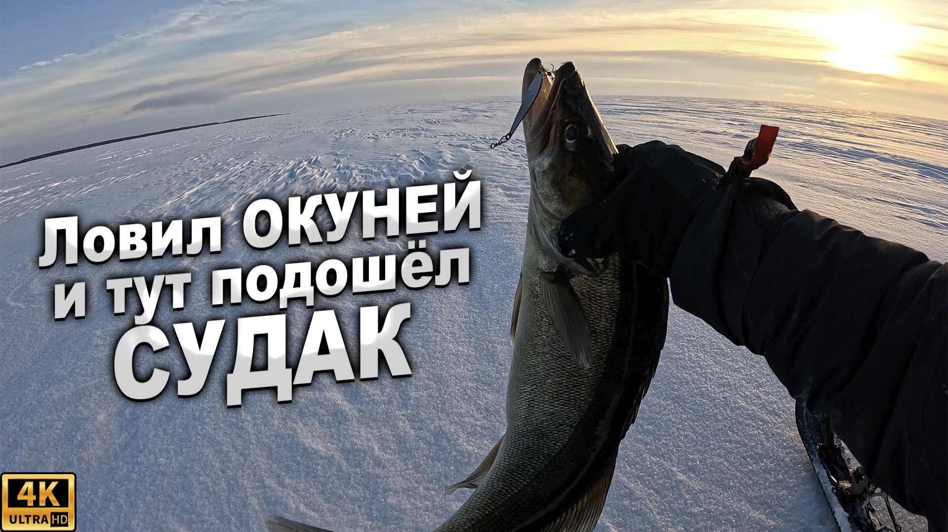 Ловил ОКУНЕЙ И ТУТ ПОДОШЁЛ СУДАК смотреть онлайн