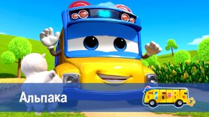 Школьный автобус Гордон, 7 сезон, 3 серия. Альпака