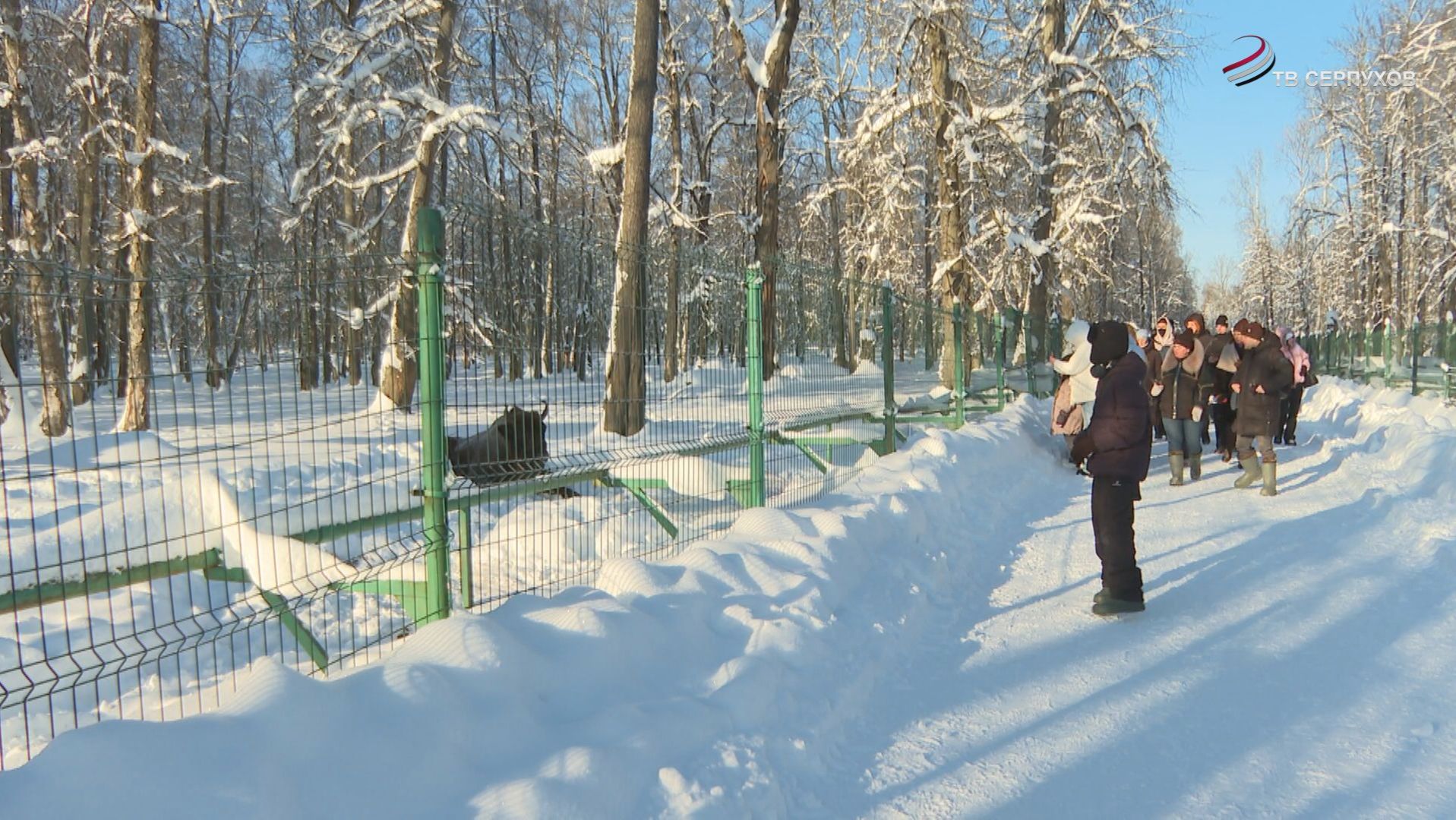 Всероссийский день заповедников и национальных парков отметили в округе смотреть онлайн