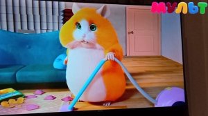 Фрагмент эфира (Телеканал Мульт 19.01.2026)