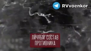 «Отважные»уничтожают контратакующую пехоту и технику ВСУ под Покровском и в Днепропетровской области
