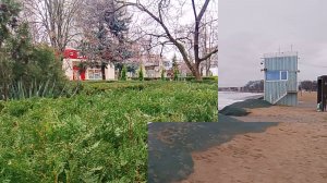 АНАПА 11.01.2026 море ✅📌 📍- зеленый ландшафт — песчаный пляж