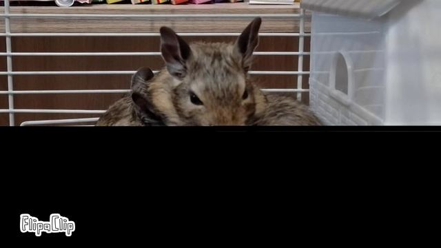 Анимация смотреть онлайн