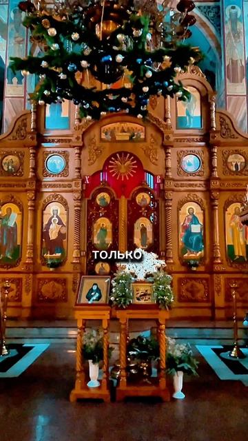 Слава Богу ❤️🙏