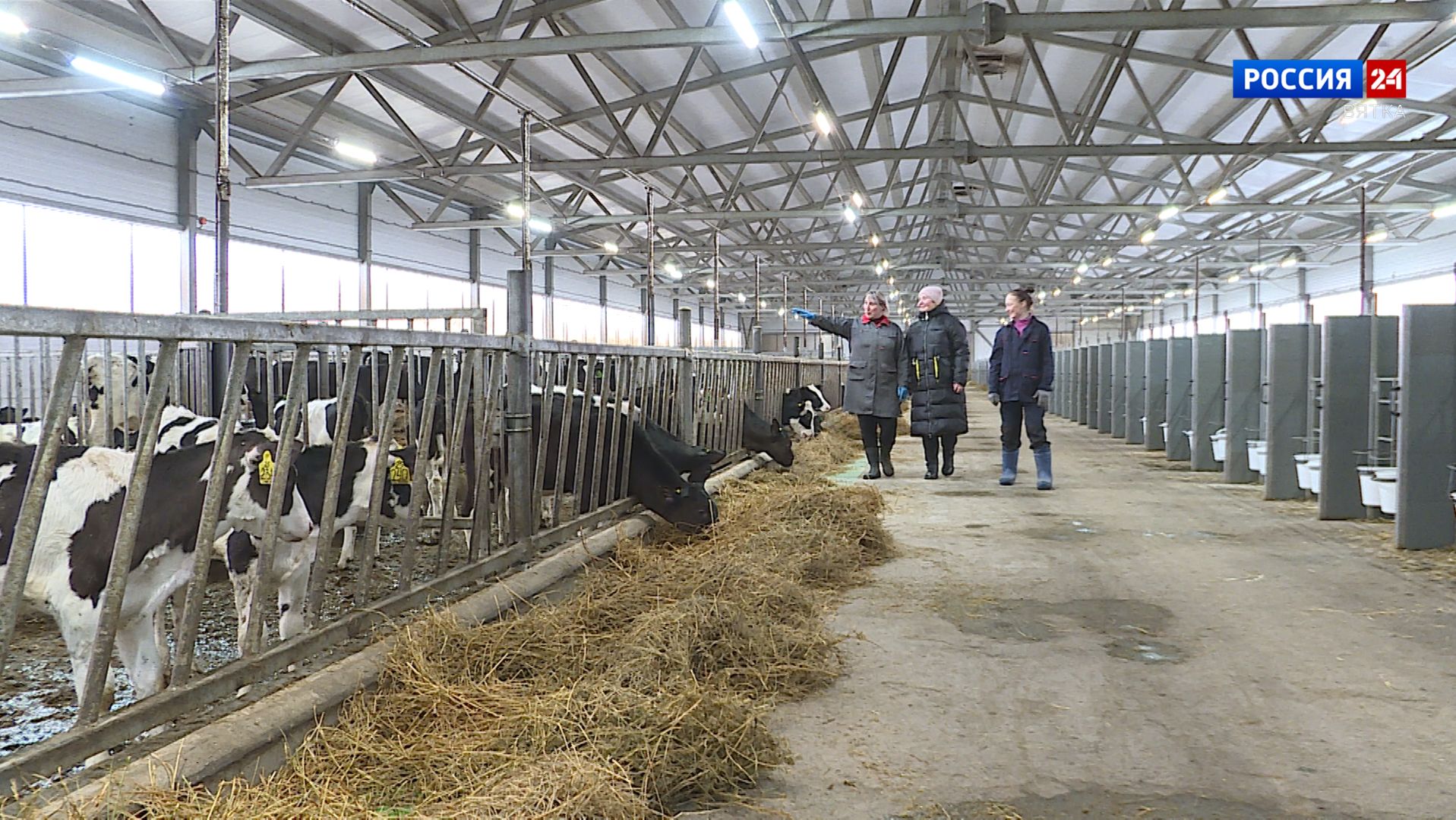 Губерния. СПК «Колхоз «Ленинец» (21.01.2026) смотреть онлайн