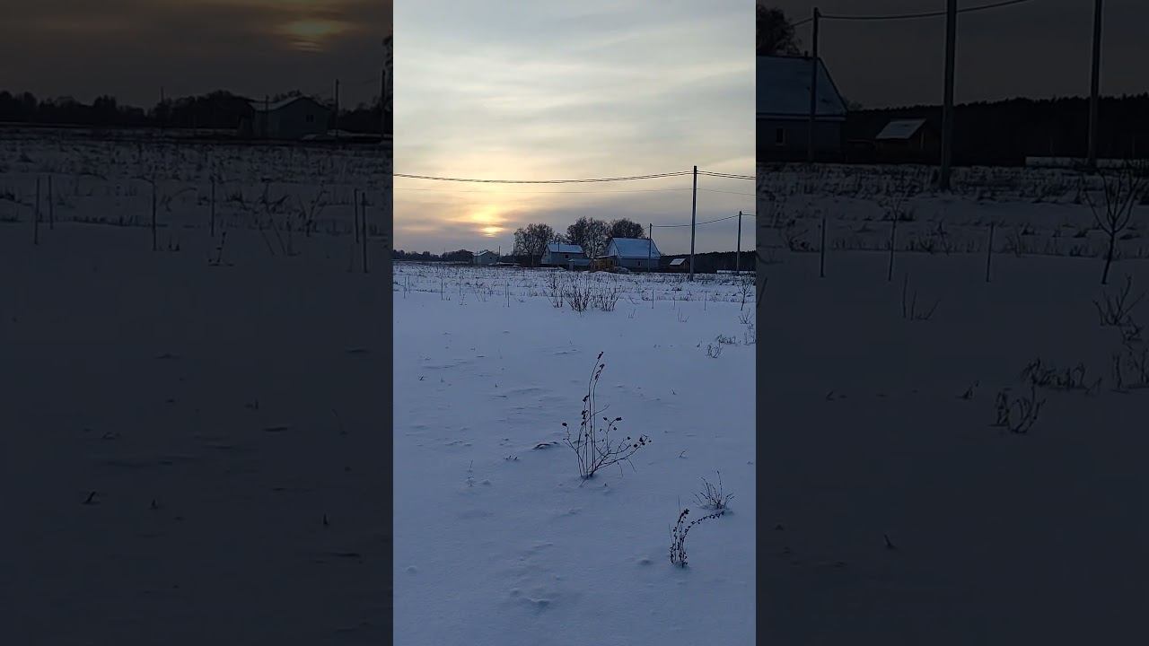 Крайний день осени 2025. Я на огороде рассказываю выводы о кулисах