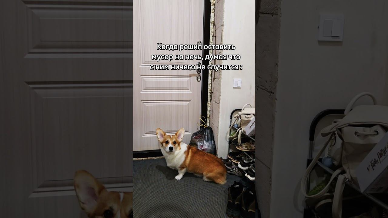 Он просто хотел стать блогером