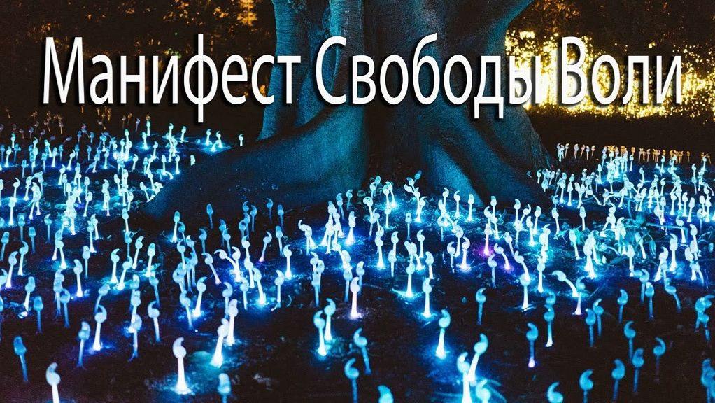 Хартия исследователей ноосферы