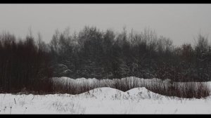 Второй этап Первенства Москвы и Московской области по кроссу.