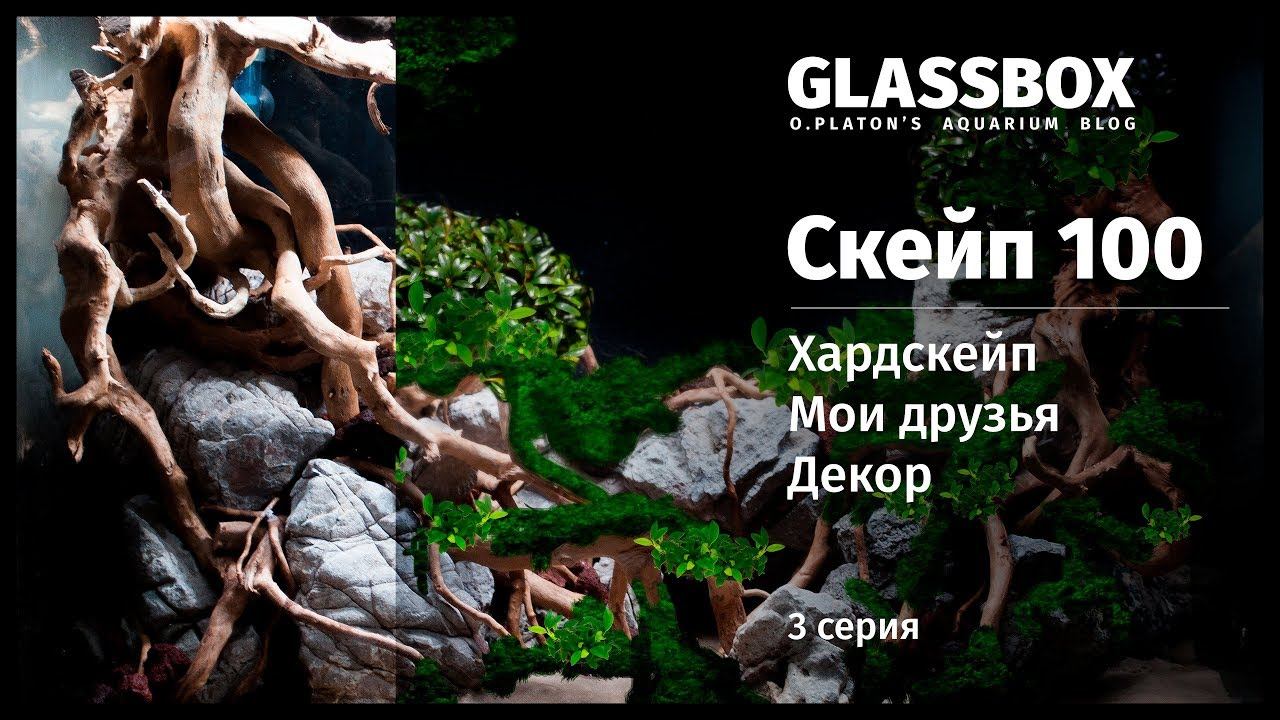 3 / Скейп 100л Хардскейп, мои друзья и декор смотреть онлайн