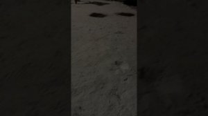 Вышли ночью подышать с Рыжиком.