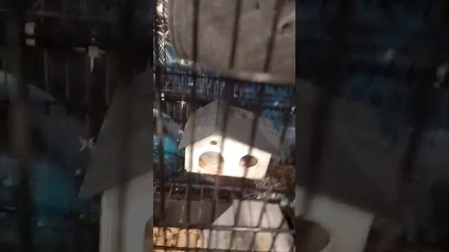 привет смотреть онлайн