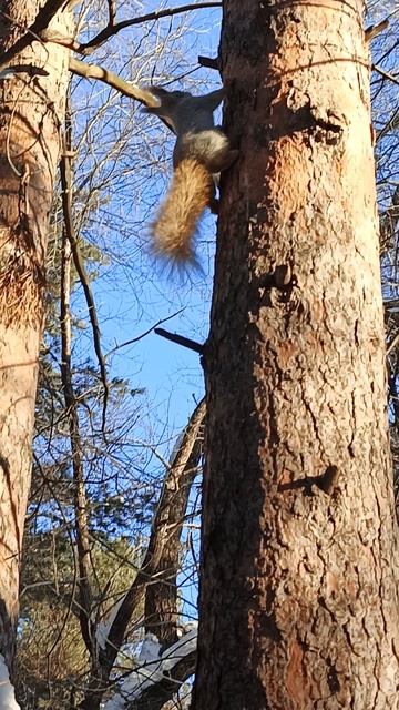 Только вверх