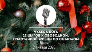 Спикерская Новогоднего марафона АНЗ «Чудеса Бога: 12 шагов к свободной, счастливой жизни со смыслом»