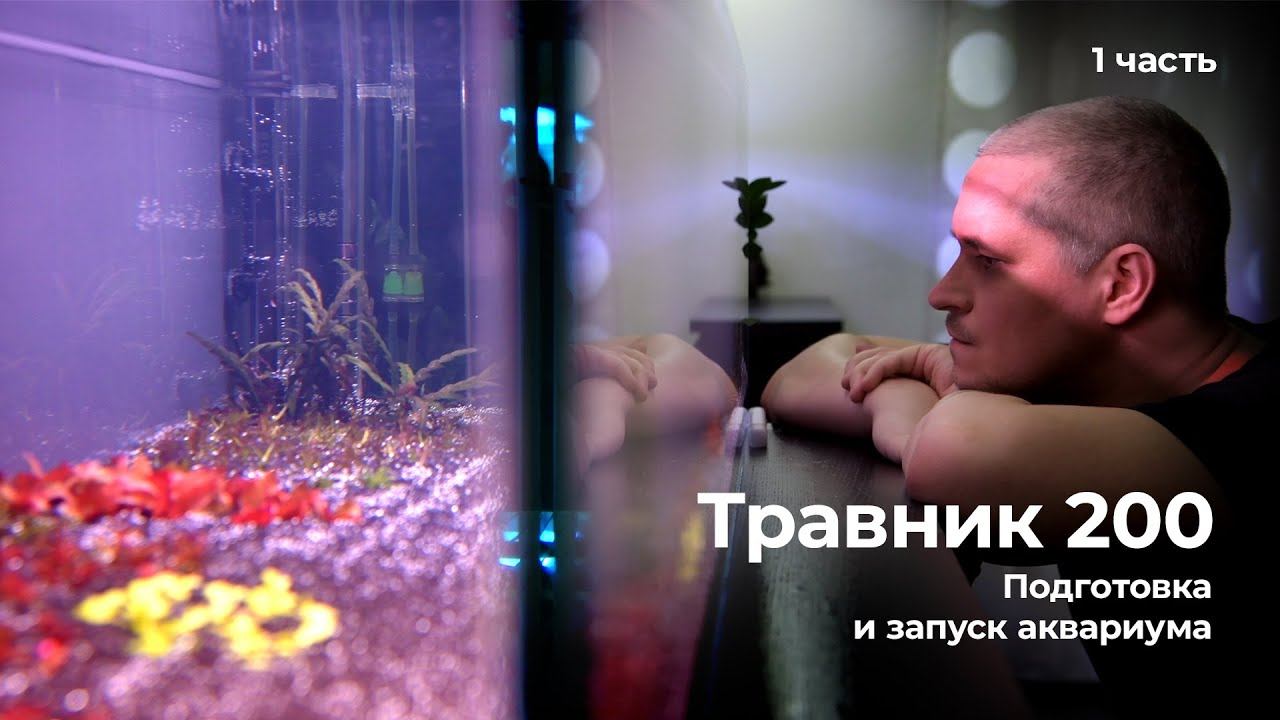 #Травник 200 (1 часть) - Подготовка и запуск аквариума. смотреть онлайн