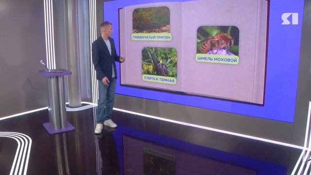 Красную книгу Ярославской области пересмотрят смотреть онлайн