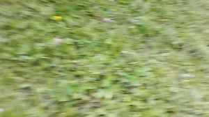 8450f8a3-4d0a-4565-84e2-46b9dac54917-1_all_565.mp4